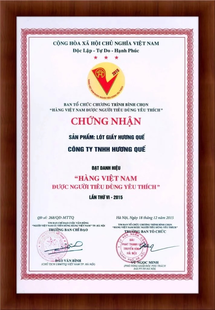 chung-nhan-hang-viet-nam-duoc-nguoi-tieu-dung-yeu-thich-2015